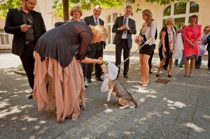 Hochzeit Bild 199